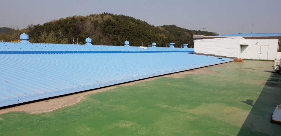 3695294320_ho0bmGLV_d6202b1acc08e25cd2d34893cbf2d5ad2565d663.jpg 이미지크게보기